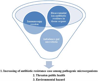 Exploring the roles of phytobiotics in relieving the impacts of Edwardsiella tarda infection on fish: a mini-review